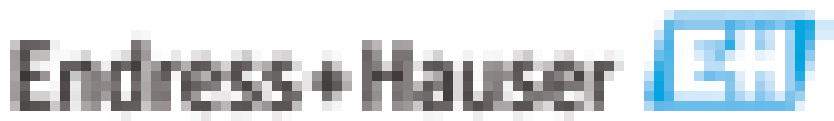 Endress+Hauser
